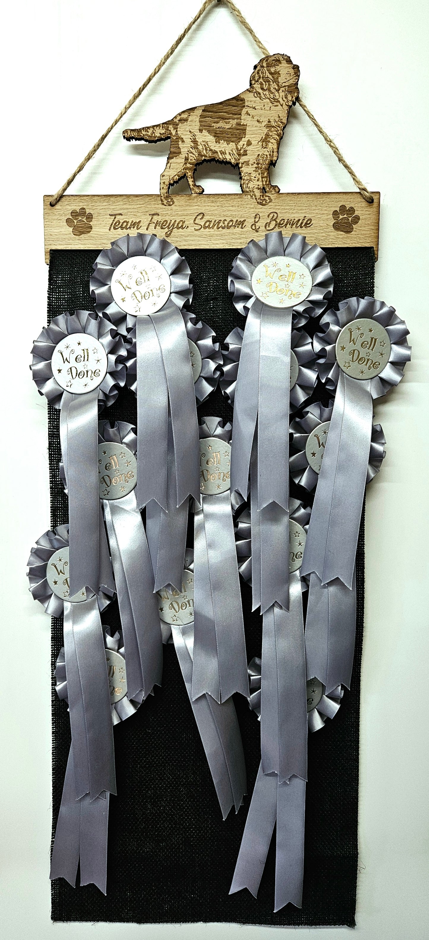 Springer Spaniel Rosette Holder – Personalised Hanging Medal & Rosette Display