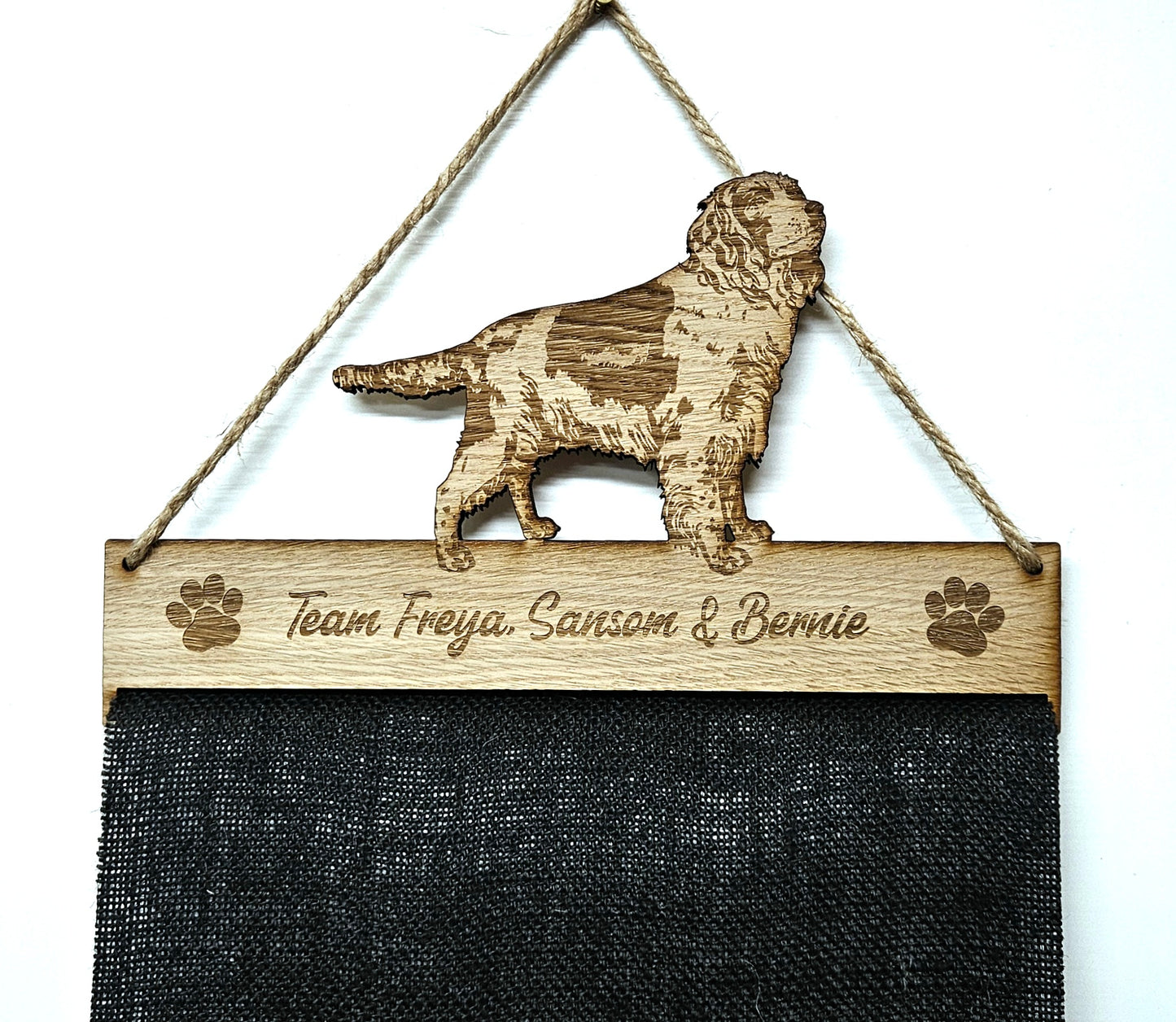 Springer Spaniel Rosette Holder – Personalised Hanging Medal & Rosette Display