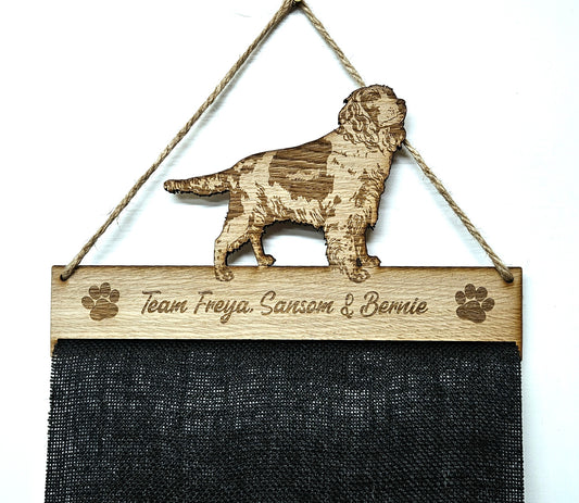 Springer Spaniel Rosette Holder – Personalised Hanging Medal & Rosette Display