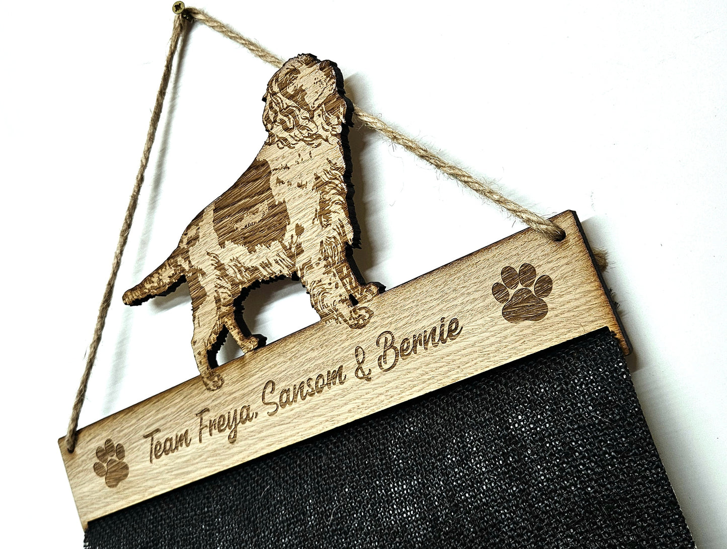 Springer Spaniel Rosette Holder – Personalised Hanging Medal & Rosette Display